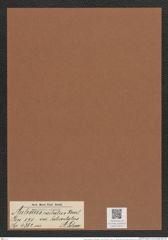 Auliscus caelatus var. latecostatus A. Schm. (de-Toni-Nr.: Genus 171, Species 4362) Zeichnungen Sammlung Grunow Mappe 04317 (Herbarium_W_Grunow_drawings_Folder_04317)